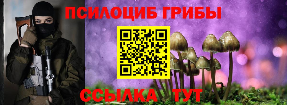 Ступино  даркнет сайт  Вход с VPN  Псилоцибиновые грибы мухоморы 